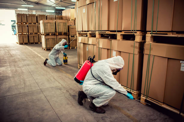 Best Rat Extermination Near Me  in Marksville, LA