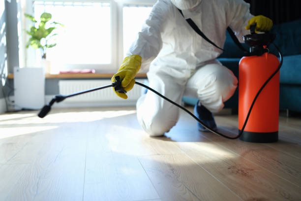 Professional Pest Control in Marksville, LA