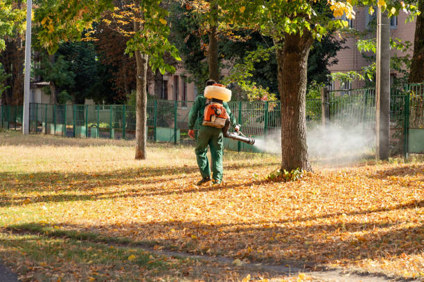 Best Bed Bug Extermination  in Marksville, LA