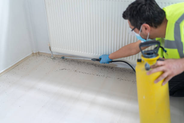 Best Best Pest Control Companies  in Marksville, LA