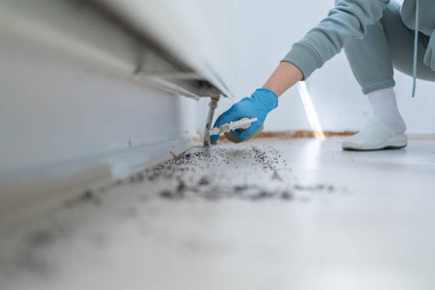 Best Residential Pest Control  in Marksville, LA